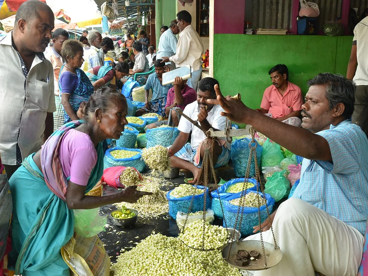 தேனி: கடும் பனியால் செடியிலேயே கருகிப்போன மல்லிகைப் பூக்கள்... கிடுகிடுவென உயரும் விலை!