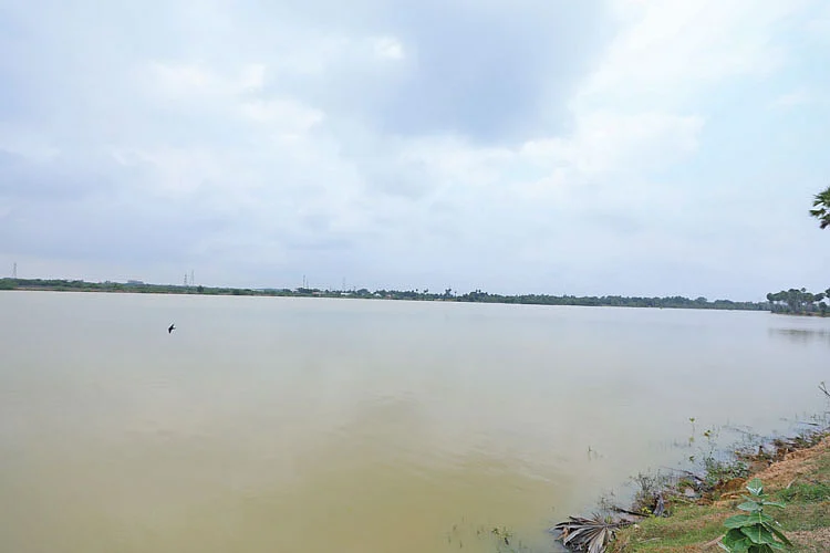 நரியம்பாக்கம் ஏரி