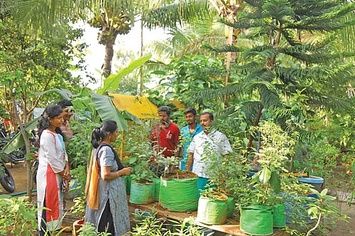மாடித்தோட்டப் பயிற்சி