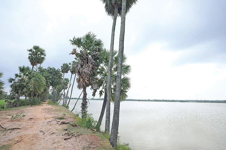 நரியம்பாக்கம் ஏரியின் கரை