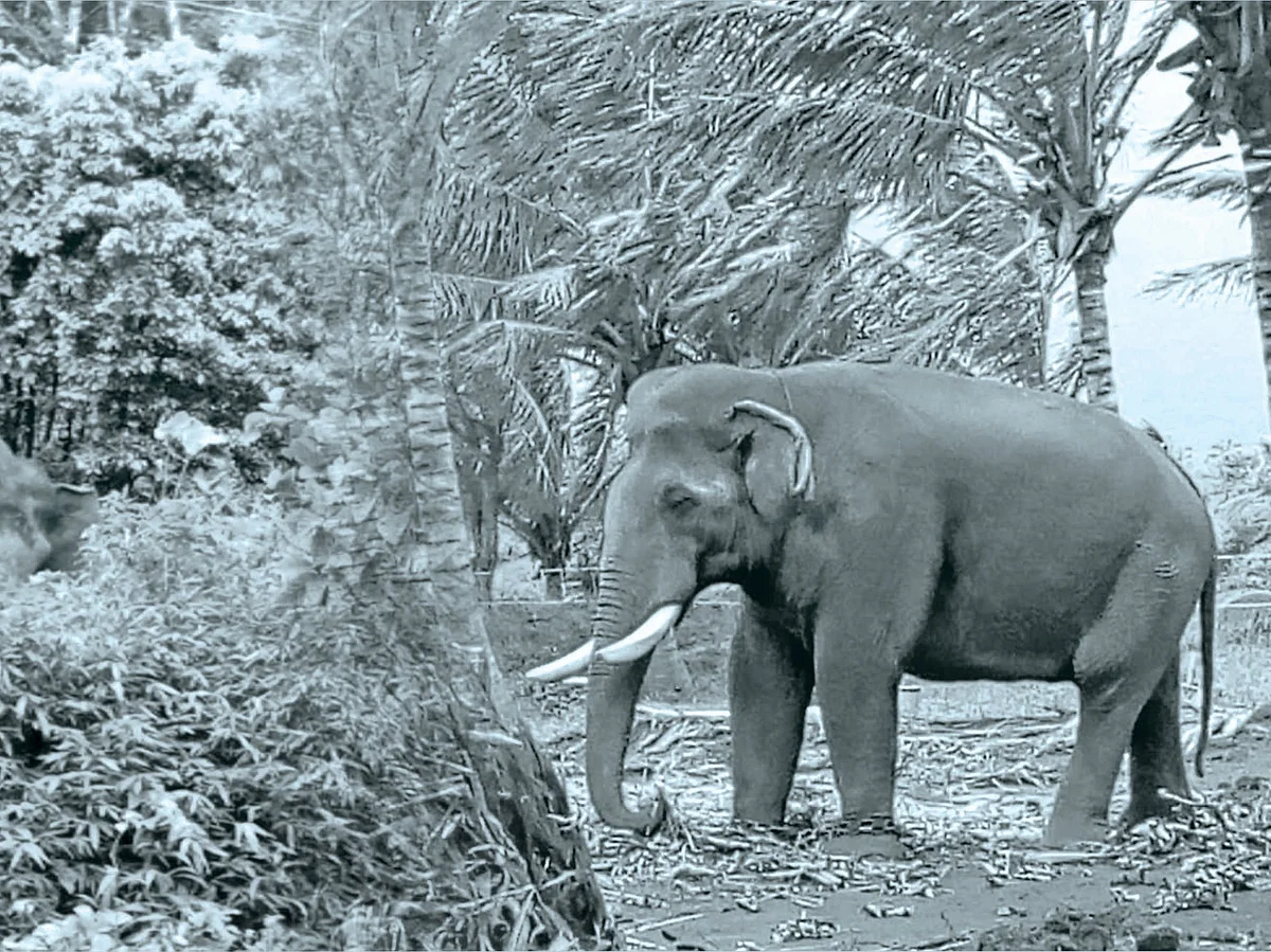 “தேவாரமே அதோட கன்ட்ரோல்லதான்!”