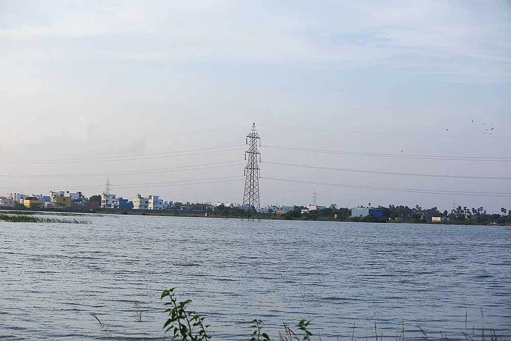 நிலம் நீர் நீதி! - நிரம்பின ஏரிகள்... துளிர்த்தன பயிர்கள்... வாசகர்களுக்கு நன்றிகள்!