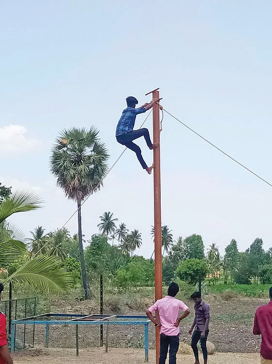 வழுக்கு மரம் ஏறுதல்