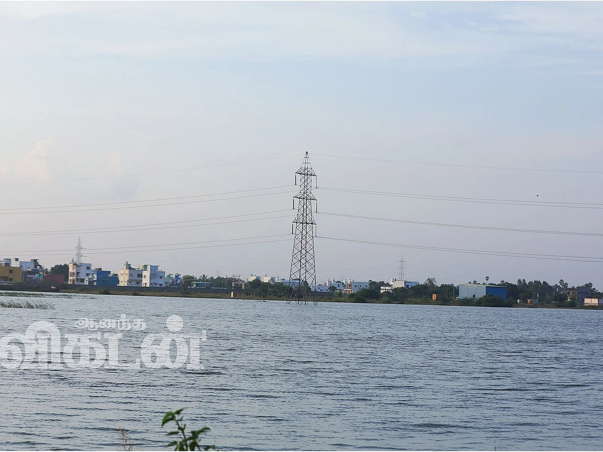 நிலம் நீர் நீதி! - நிரம்பின ஏரிகள்... துளிர்த்தன பயிர்கள்... வாசகர்களுக்கு நன்றிகள்!