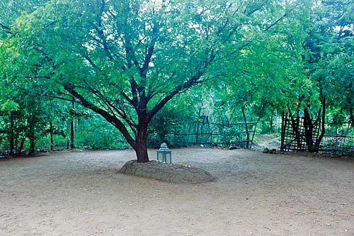 நம்மாழ்வார் விதைக்கப்பட்ட இடம்