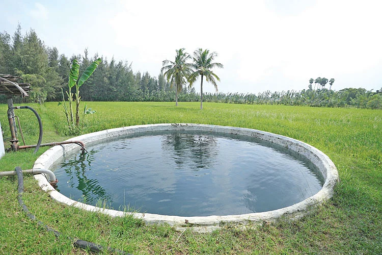 விவசாய நிலத்தில் நிரம்பியிருக்கும் கிணறு