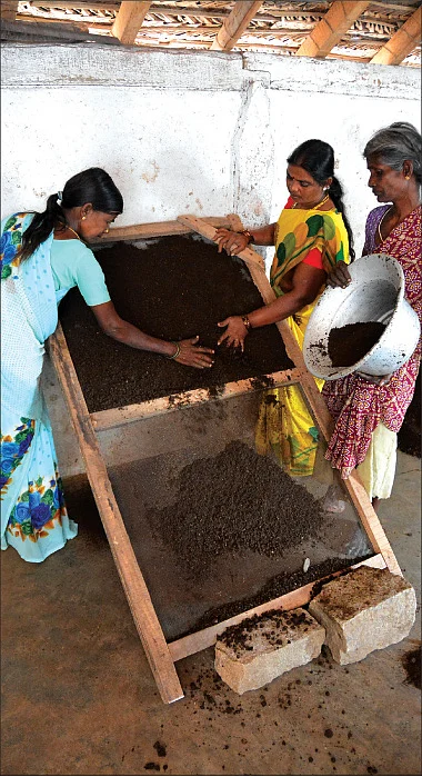 அள்ள அள்ள வருமானம்... கறுப்புத் தங்கத்தில் அட்டகாசமான லாபம்!