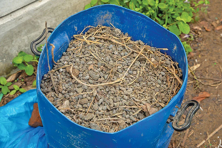 50 சென்ட்... ரூ. 34,000 வருமானம்! பேருந்து நடத்துநரின் நிலக்கடலை சாகுபடி!