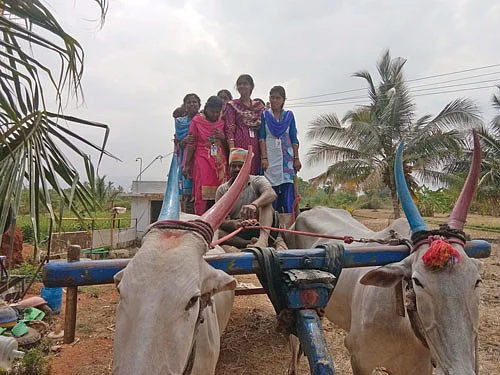 மாட்டு வண்டிப் பயணம்