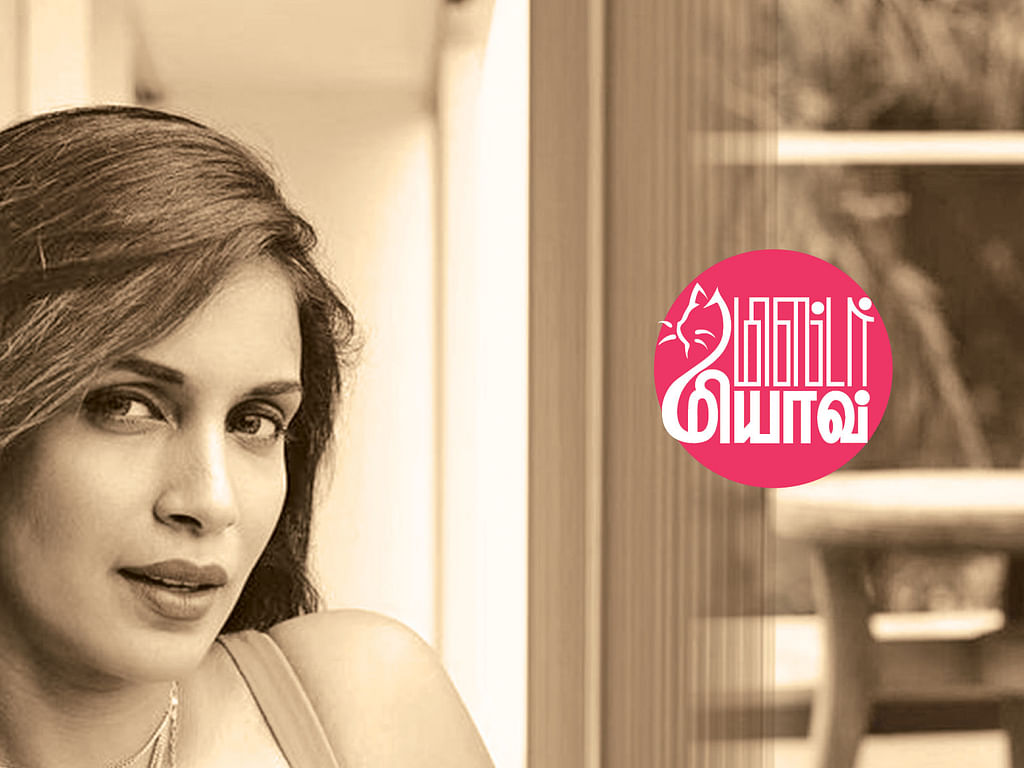 மிஸ்டர் மியாவ்