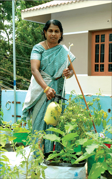 பார்வை இல்லை... பசுமை உண்டு!
செல்வராணியின் சாதனைத் தோட்டம்