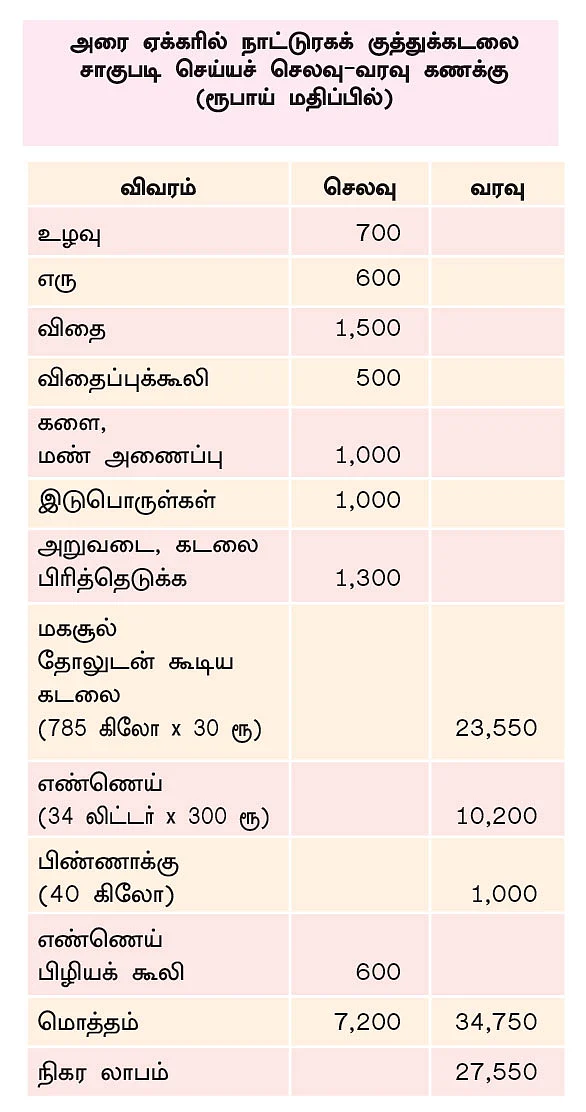 50 சென்ட்... ரூ. 34,000 வருமானம்! பேருந்து நடத்துநரின் நிலக்கடலை சாகுபடி!