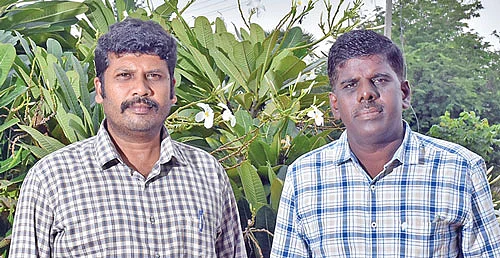 பேராசிரியர், உதவிப் பேராசிரியர்