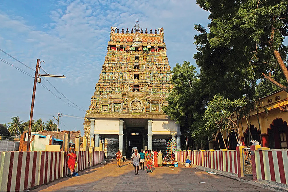 தைத் திங்கள் தரிசனம்!