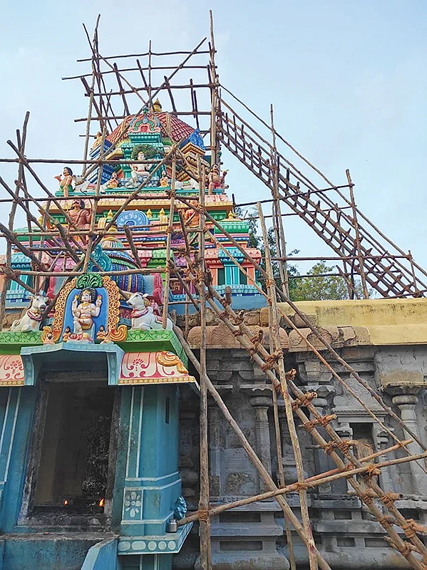 நாரதர் உலா