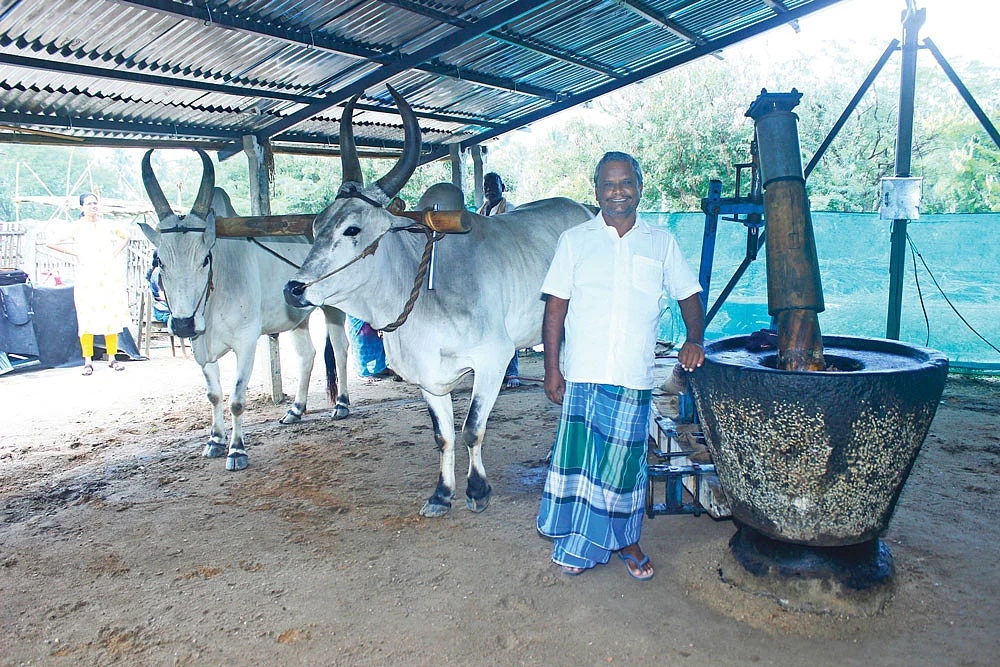 மாடுகள் பூட்டப்பட்ட கல்செக்குடன் செல்வன்