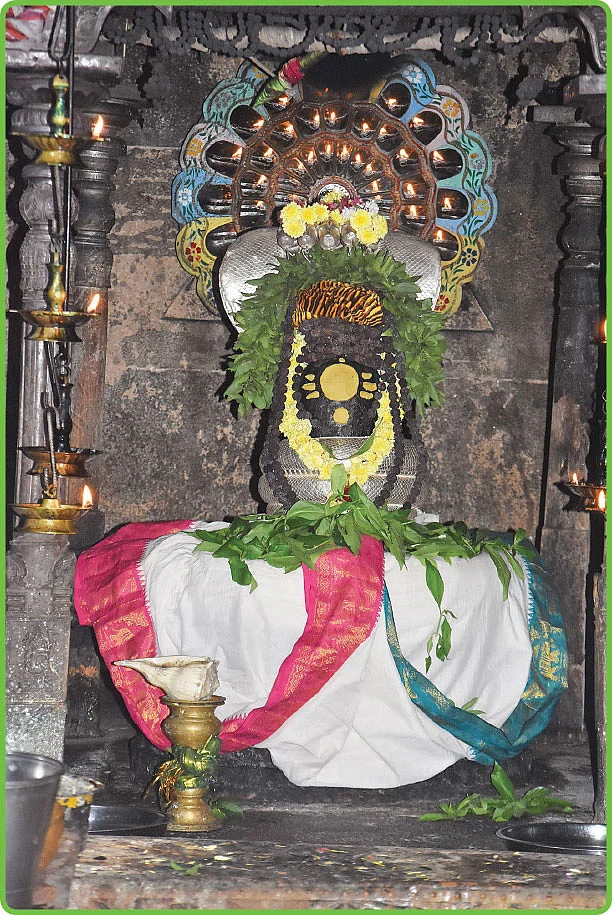 உழவனாய் வந்த சிவனார்!
