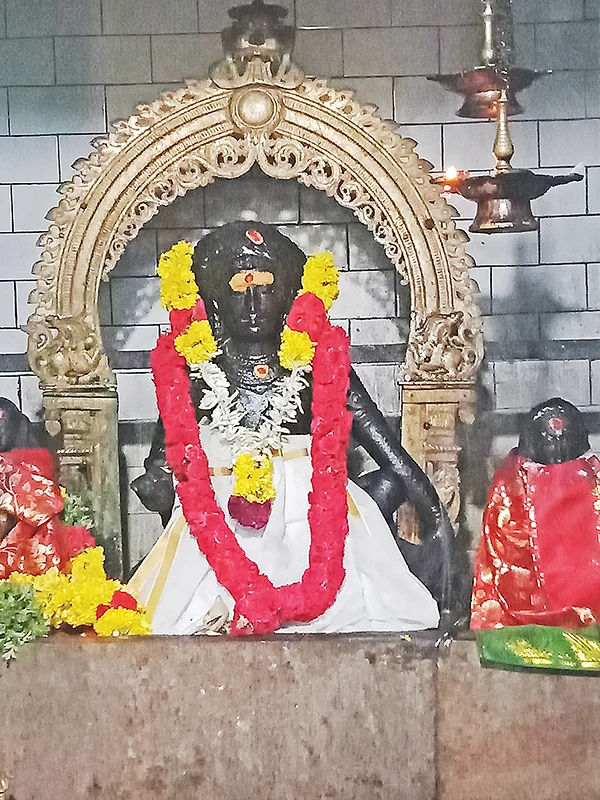தைப்பொங்கல்: மண் மணக்கும்
தரிசனம்! - மருத்துவப் பெண்ணாக வந்தார்!