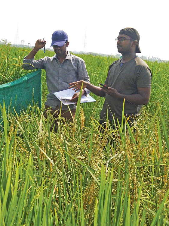 வயல் சோதனை