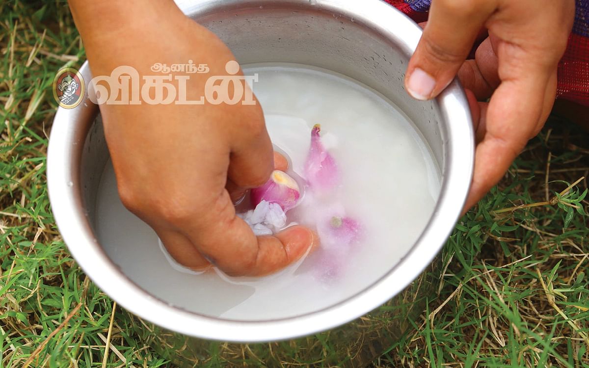 நோய் எதிர்ப்பு சக்தி முதல் வைட்டமின்கள் வரை... பழைய சோற்றில் இவ்வளவு நன்மைகளா?