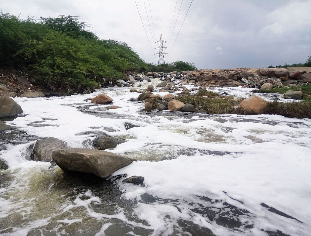 சாயக் கழிவுகளால் நுரைத்துப் பொங்கும் நொய்யலாறு