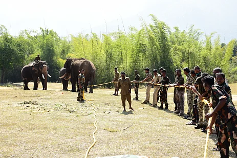 யானை மீட்புப் பணி
