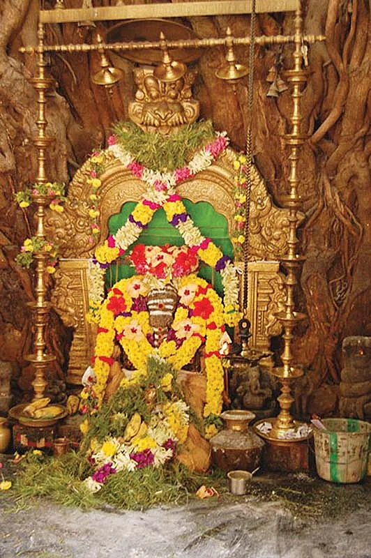 தைத் திங்கள் தரிசனம்!