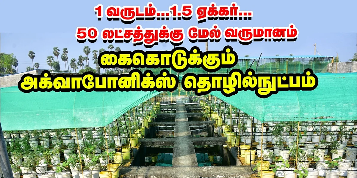 Aquaponics