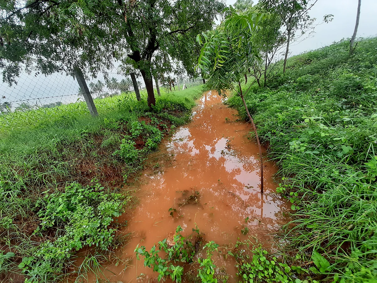 தடுப்பணை
