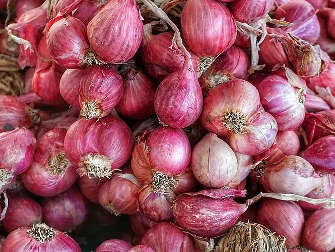 தொடர் மழை, நோய்த் தாக்குதல்... விலையேறும் சின்ன வெங்காயம்!