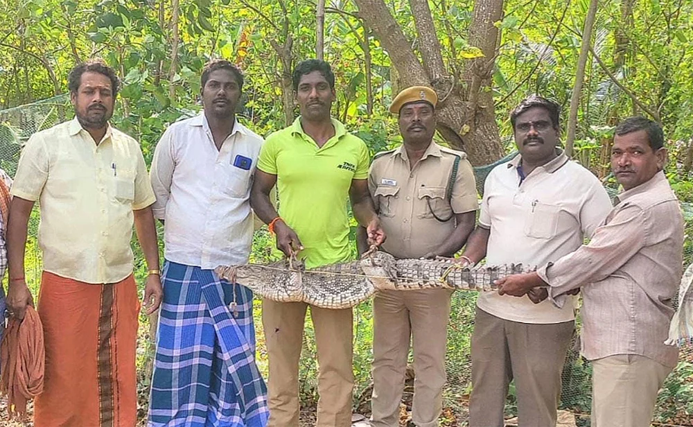 லோக்கல் போஸ்ட்!