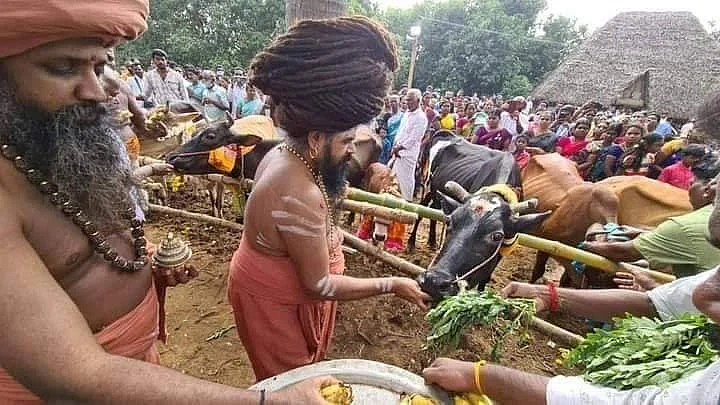 கோ பூஜை