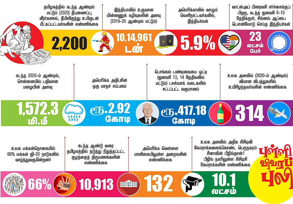 புள்ளி விவரப் புலி