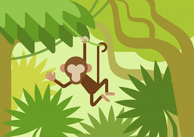 Monkey