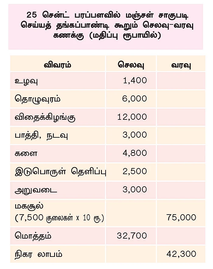 நல்ல வருமானம் தரும் பொங்கல் மஞ்சள்! - 25 சென்ட்... ரூ.42,000 லாபம்!