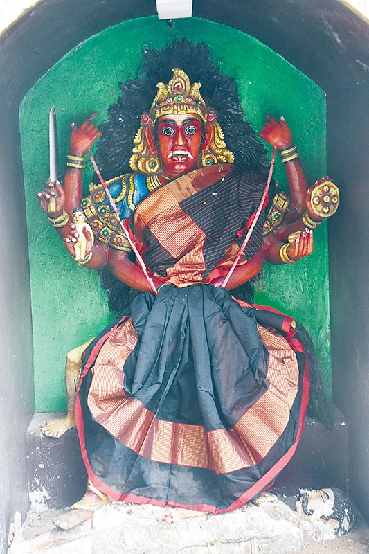 தைப்பொங்கல்: மண் மணக்கும் தரிசனம்! - பிள்ளை வரம் அருளும் பச்சை மாமருந்து!