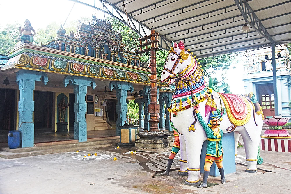 தைப்பொங்கல்: மண் மணக்கும் தரிசனம்! - பிள்ளை வரம் அருளும் பச்சை மாமருந்து!
