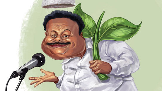 திண்டுக்கல் சீனிவாசன்