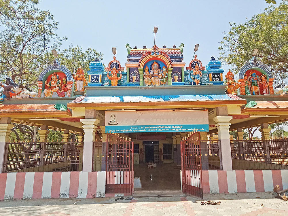 தைப்பொங்கல்: மண் மணக்கும்
தரிசனம்! - மருத்துவப் பெண்ணாக வந்தார்!