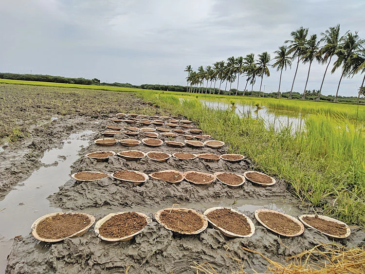 156 நெல் ரகங்கள்... விதைத் தூய்மை காக்க ஒரு முயற்சி!