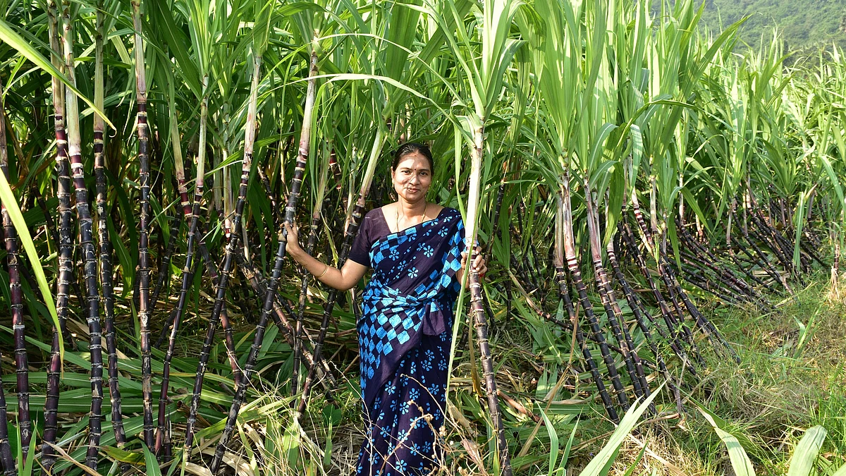 மாதங்கி