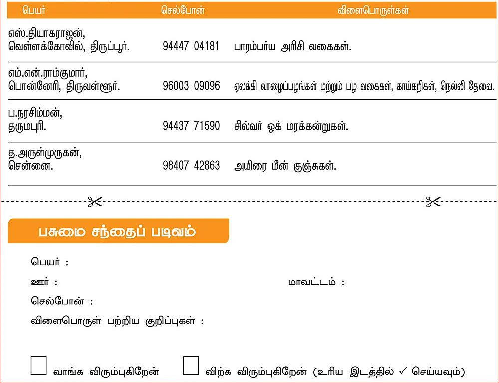 பசுமை சந்தை