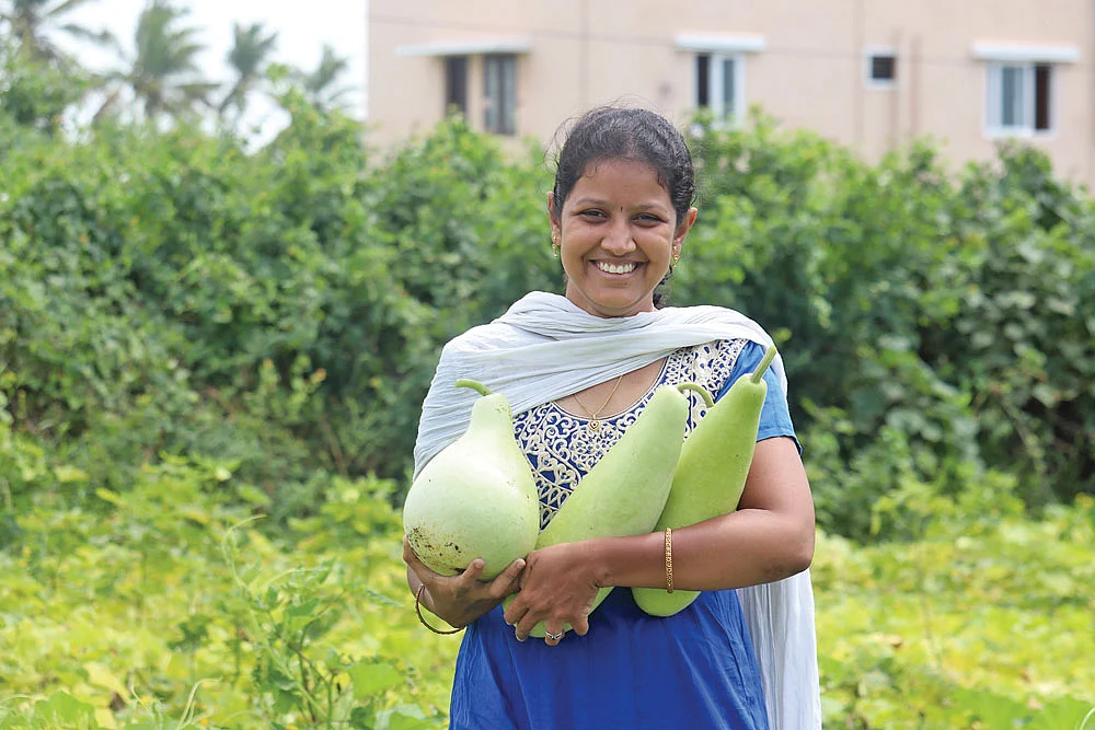 800 குடும்பங்களுக்குக் காய்கறிகள்... விவசாயிகளை உருவாக்கும் இளம்பெண்!