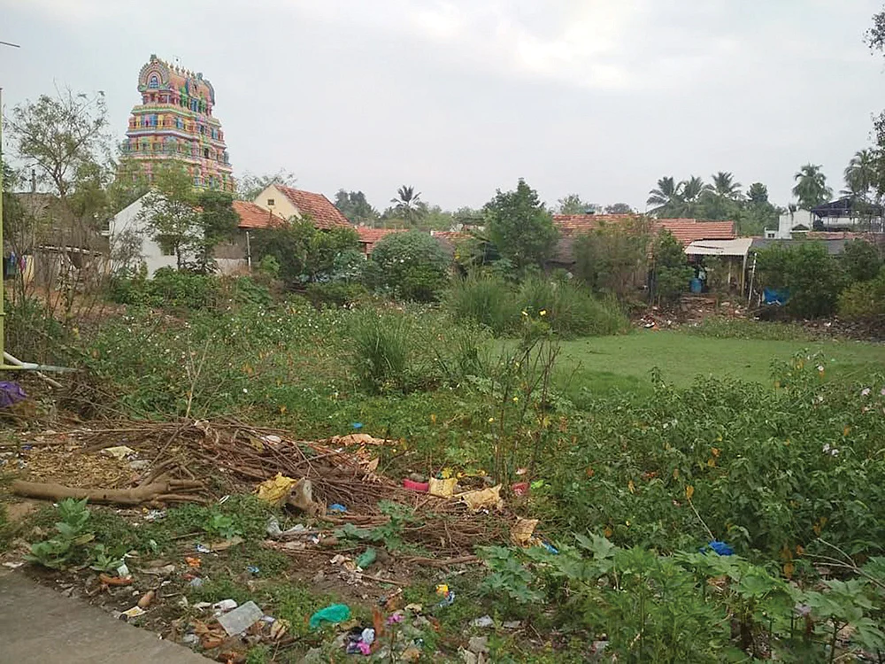 நாரதர் உலா