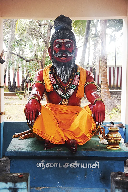 தைப்பொங்கல்: மண் மணக்கும் தரிசனம்! - பிள்ளை வரம் அருளும் பச்சை மாமருந்து!