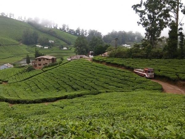 மேகமலை