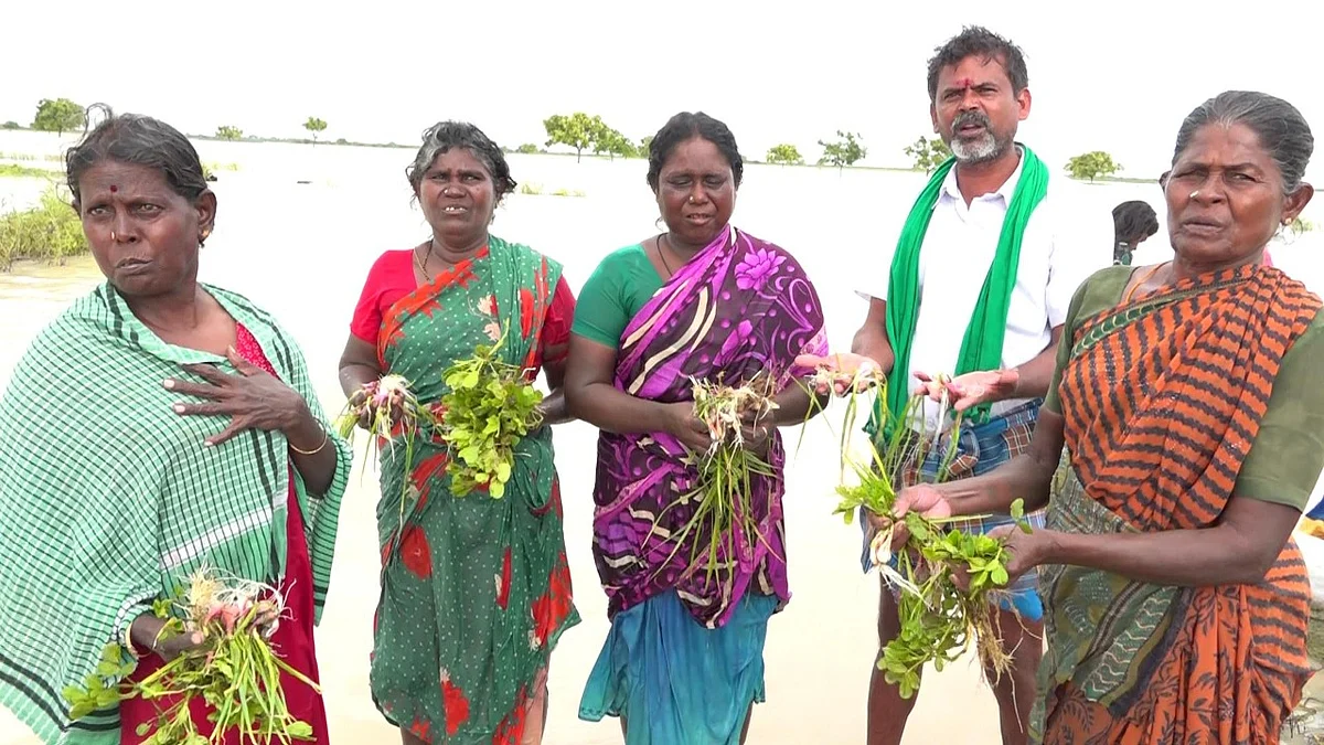 மழைநீரில் மூழ்கிய பயிர்கள்