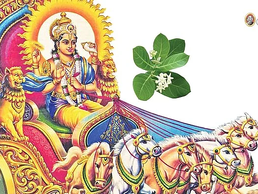 ரதசப்தமி புண்ணிய ஸ்நான மகிமைகள்... நீராடும் நேரம்... சொல்ல வேண்டிய மந்திரங்கள்! #Rathasapthami