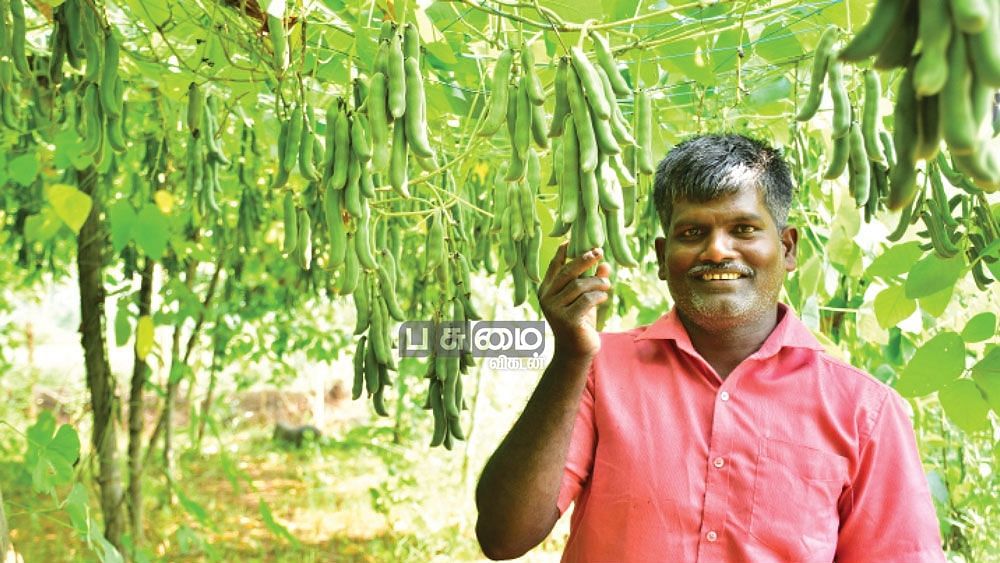 தோட்டத்தில் ஏகாம்பரம்