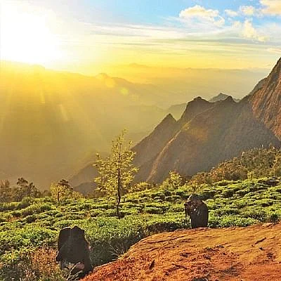 கொழுக்கு மலை